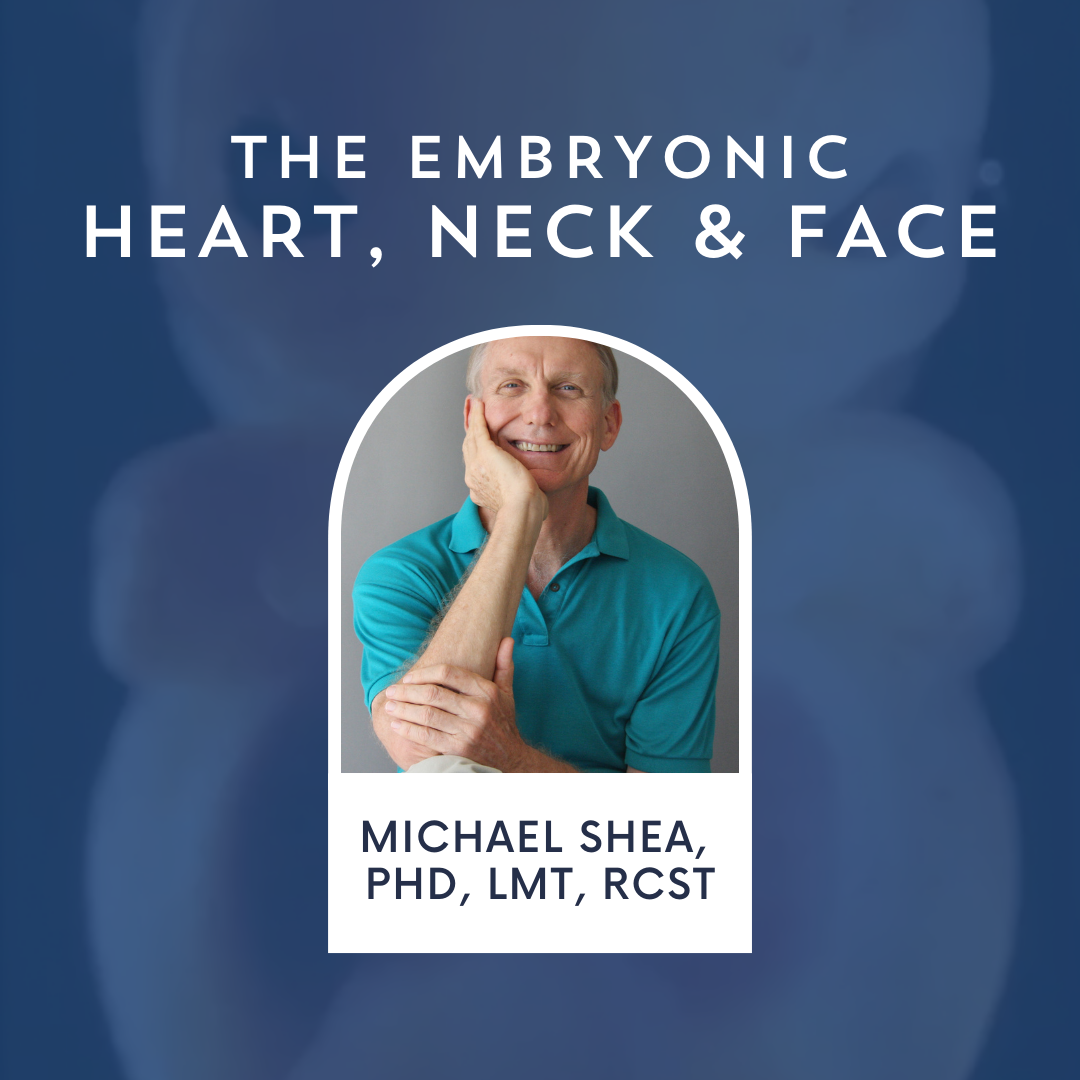 image of michael shea with program title "The Embryonic Heart, Neck and Face"